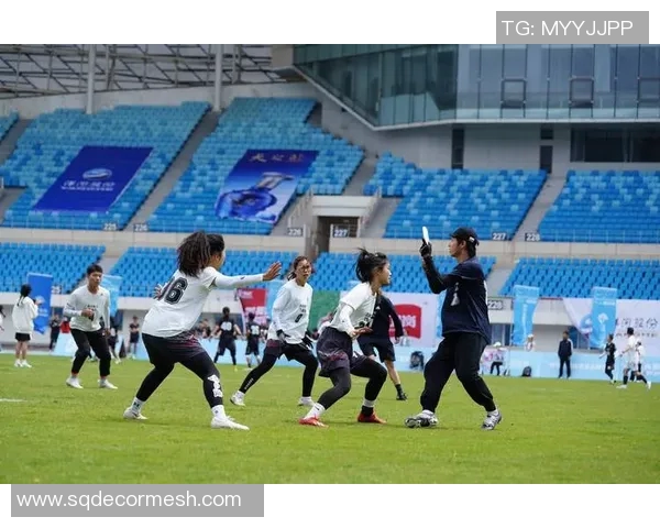 南京飞盘队近期表现深度剖析与其他队伍状态对比分析