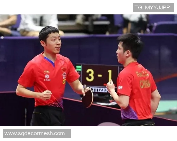 杭州乒乓球队技术争议引发热议球迷与专家观点交锋不断