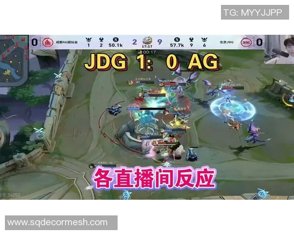挑战者杯回顾JDG团队配合的精彩瞬间与战术分析