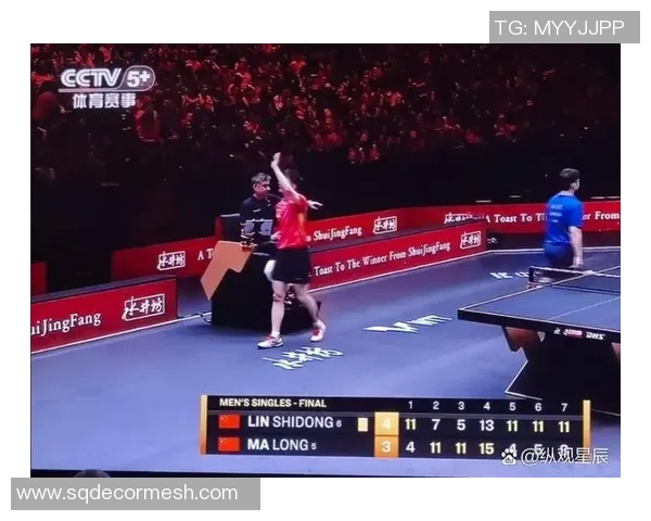 南京乒乓球队在大满贯赛中的耐力表现与战术分析